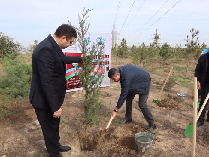 f9c2b2ff-15ef-4dcb-b86d-2faf9d085ff9