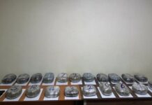 İrandan Azərbaycana külli miqdarda narkotik keçirilməsinin qarşısı alındı