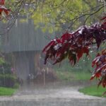 Sabah yağış yağacaq, dolu düşəcək – Hava proqnozu