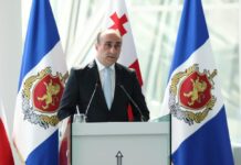 Gürcüstanda DTX rəisi istefa verdi
