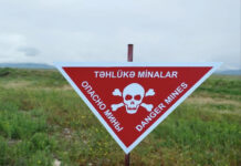 Bir həftədə 1348 hektardan çox ərazi minalardan təmizləndi